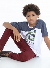 Kaue H dos Santos Martins